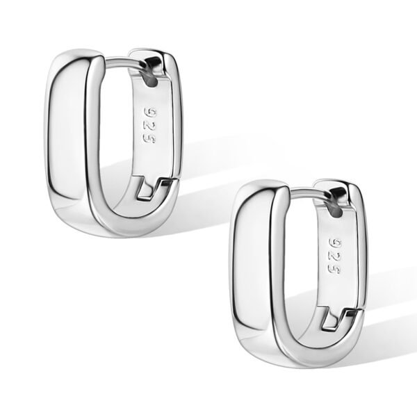 925 Sterling Silver Earrings